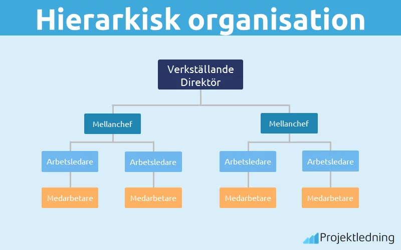 Hierarkisk Organisation Pyramidformad Organisationsstruktur Guide