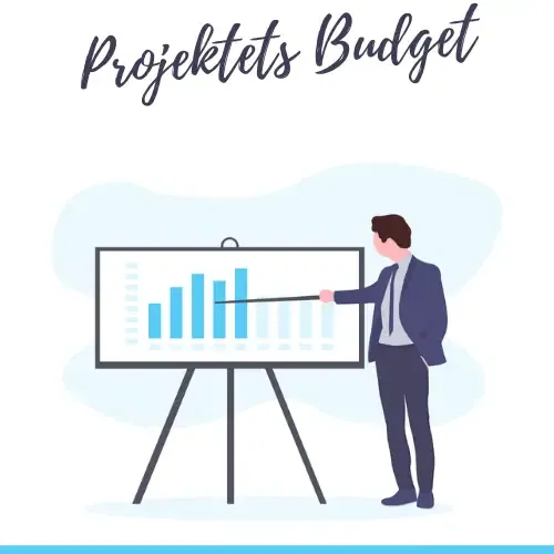 Projektets Budget