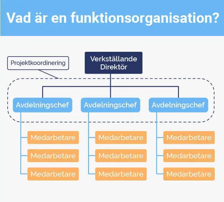 Funktionsorganisation