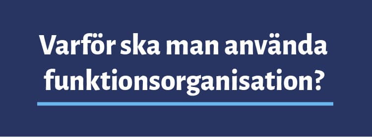 Funktionsorganisation fördelar