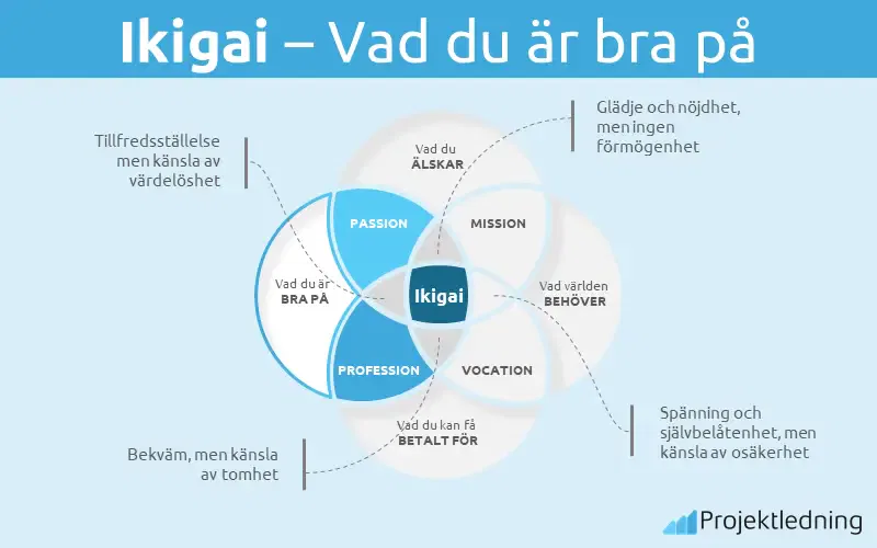 Ikigai Vad du är bra på