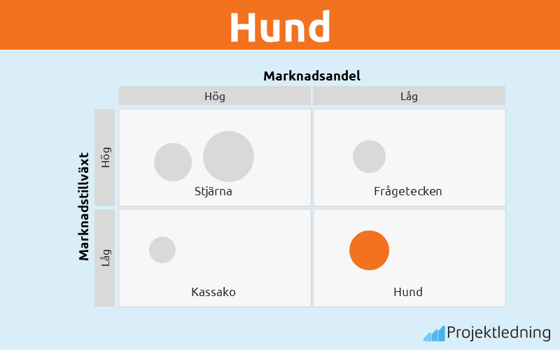 Hund
