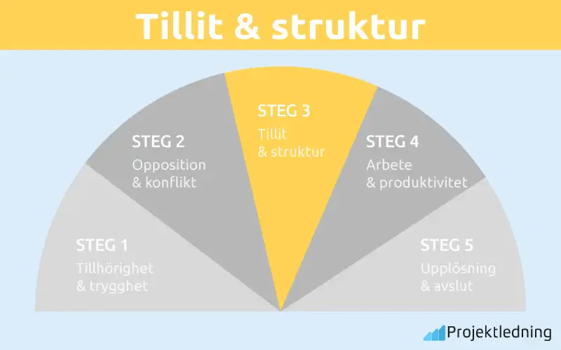 Tillit struktur Susan wheelan