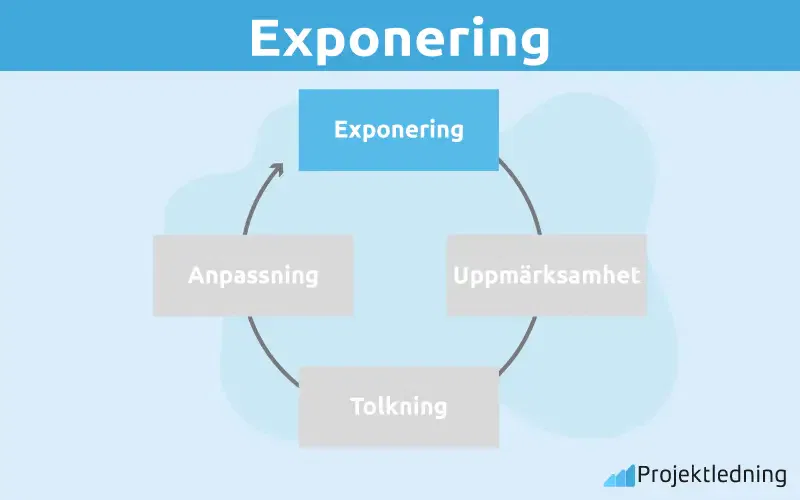 Exponering perceptionsprocessen