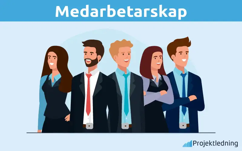 Medarbetarskap