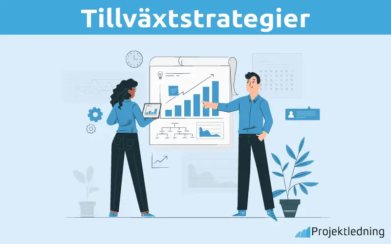 Tillvaxtstrategier