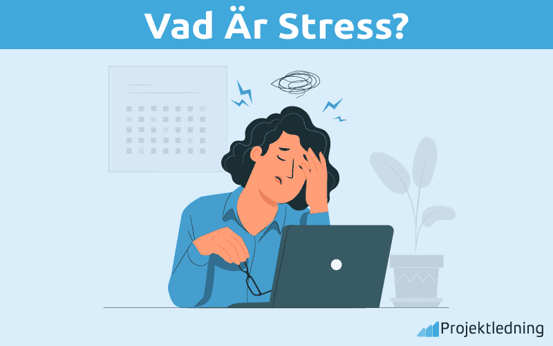 Vad är Stress
