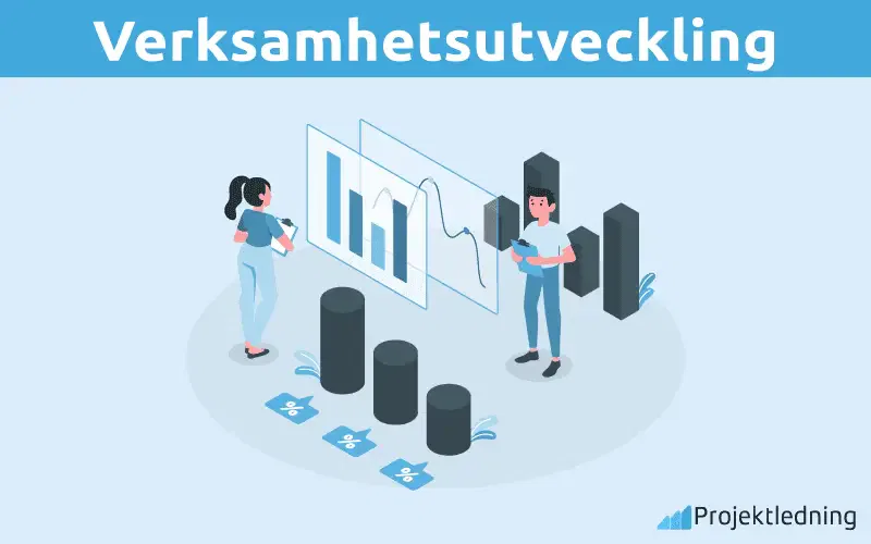 Verksamhetsutveckling