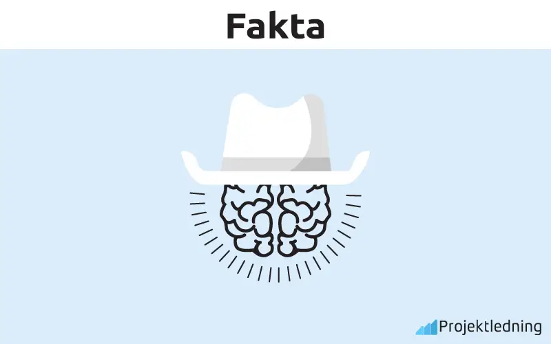 Vit tänkarhatt  Fakta