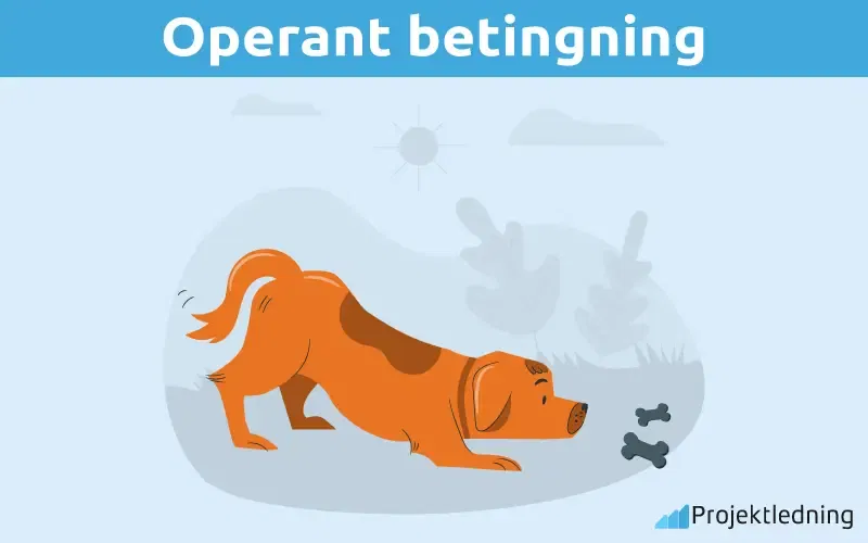 Operant betingning