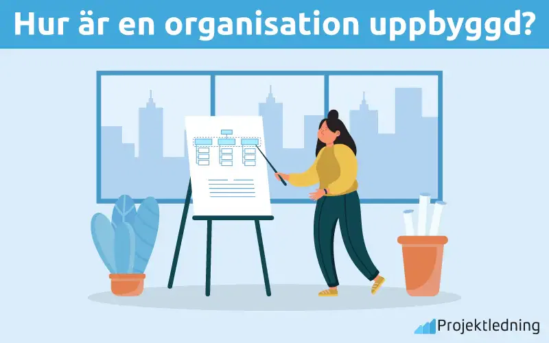 Hur är en organisation uppbyggd
