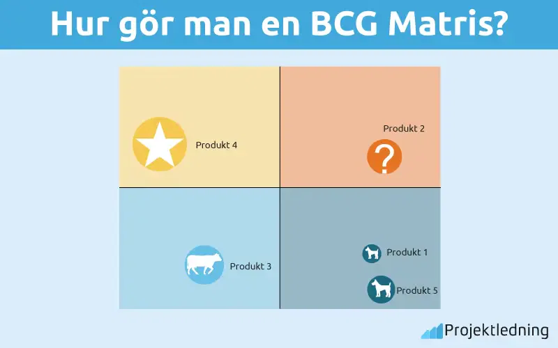 Hur gör man en BCG Matris
