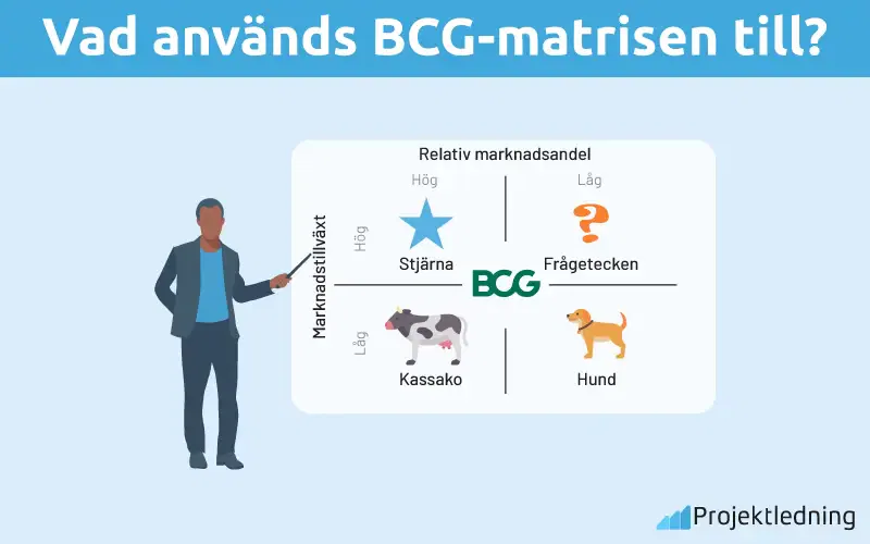 Vad används BCG-matrisen till