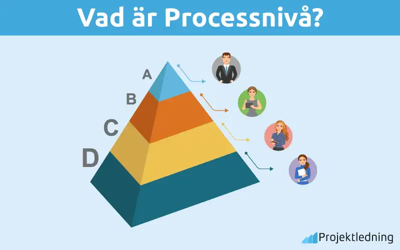 Vad är Processnivå