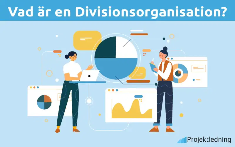Vad är en Divisionsorganisation