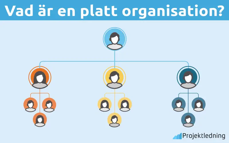 Vad är en platt organisation