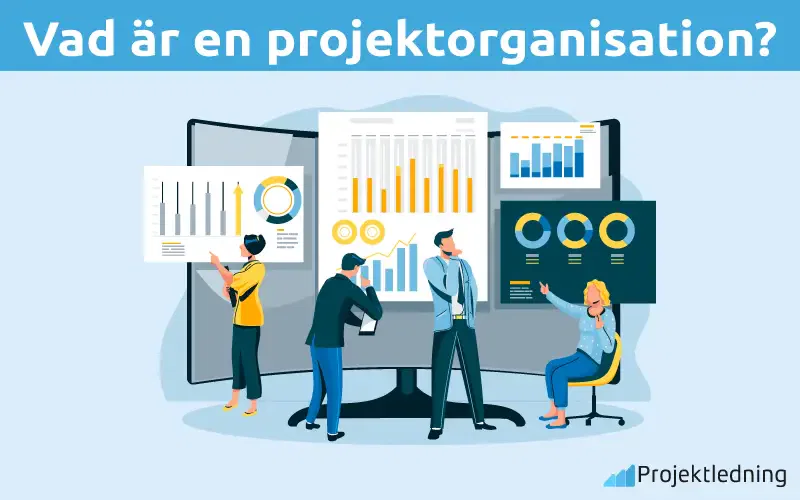 Vad är en projektorganisation