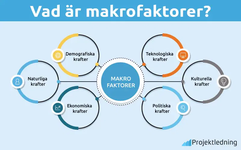Vad är makrofaktorer