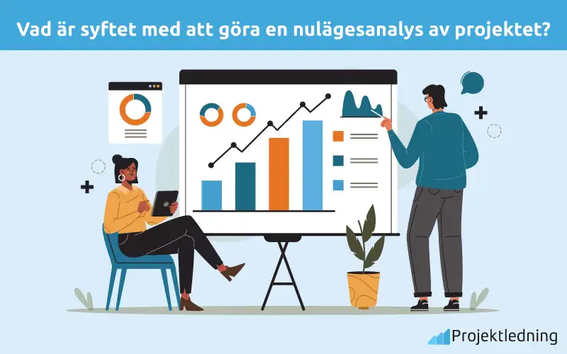 Vad är syftet med att göra en nulägesanalys av projektet