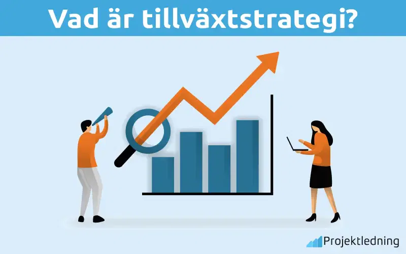 Vad är tillväxtstrategi