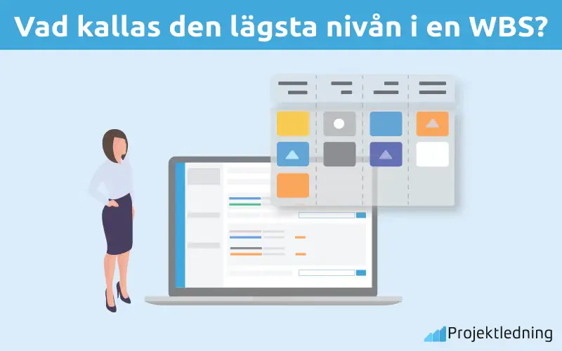 Vad kallas den lägsta nivån i en WBS