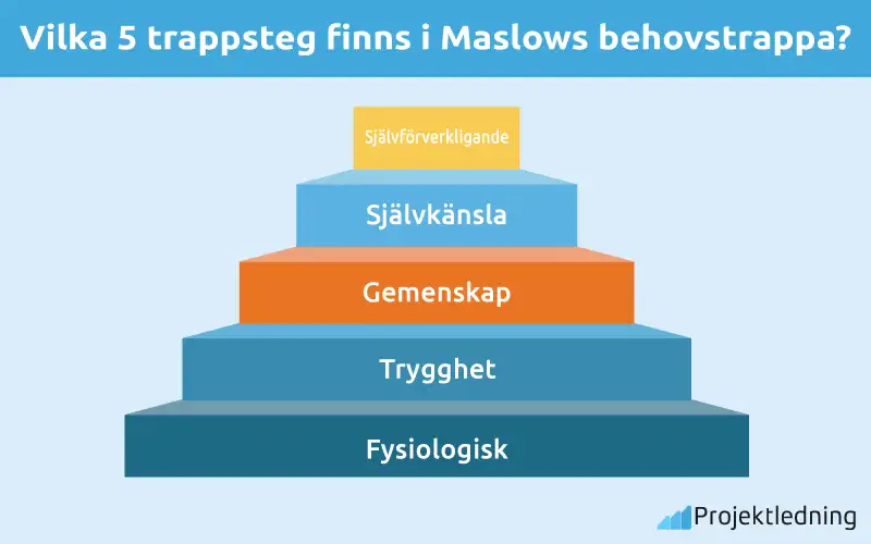 Vilka 5 trappsteg finns i Maslows behovstrappa?