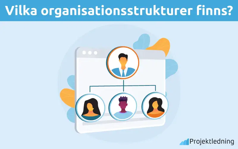 Vilka organisationsstrukturer finns