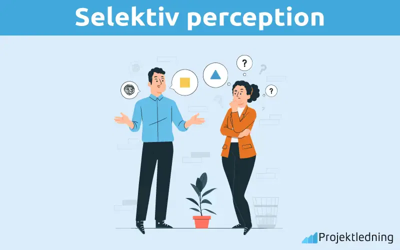 Selektiv perception
