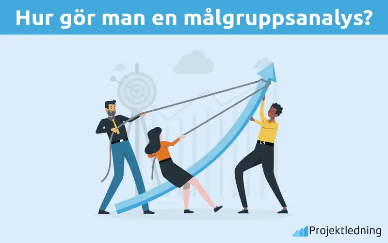 Hur gör man en Målgruppsanalys