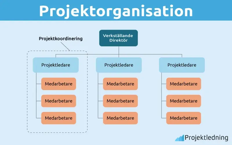 Projektorganisation