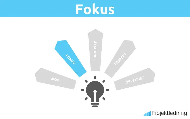 Fokus