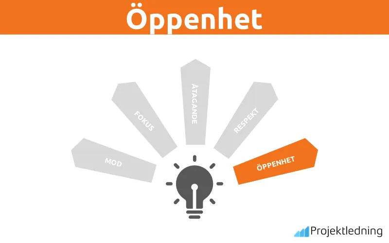 Öppenhet