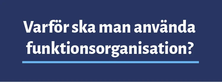Funktionsorganisation fördelar