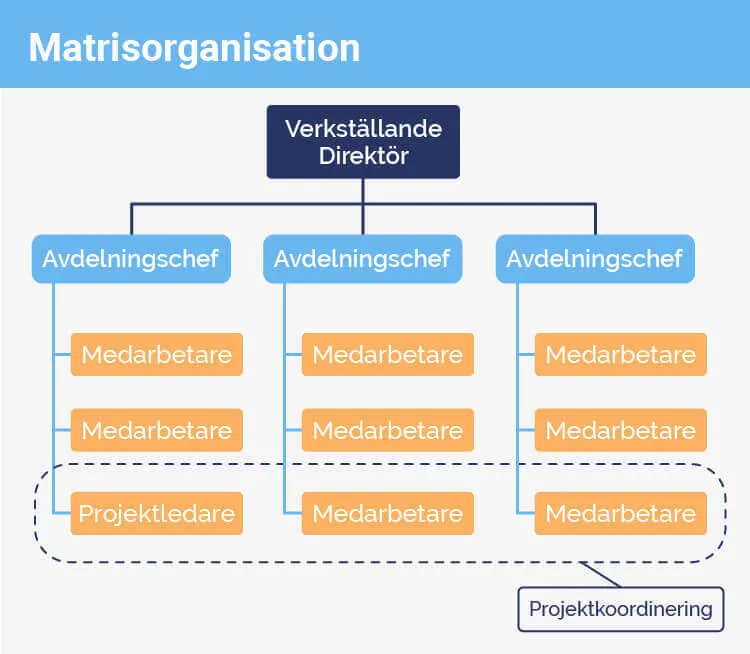 Matrisorganisation
