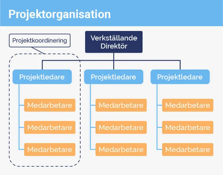 Projektorganisation