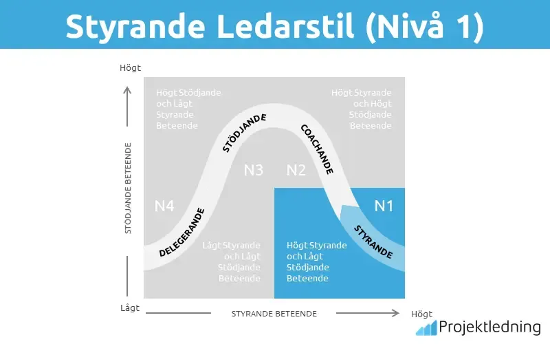 Styrande Ledarstil (Nivå 1)