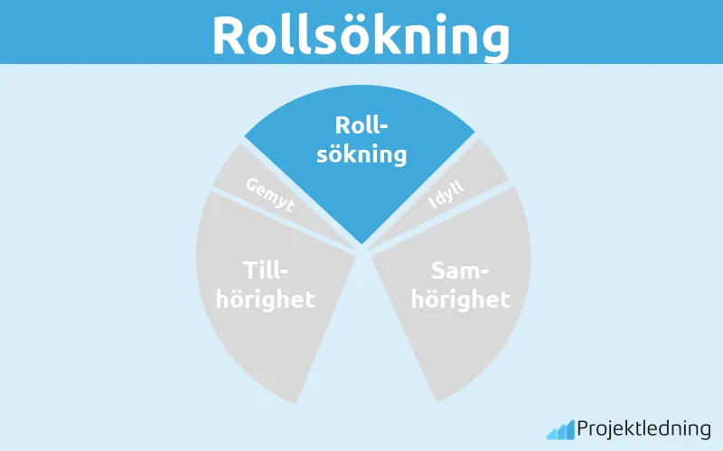 Rollsökning
