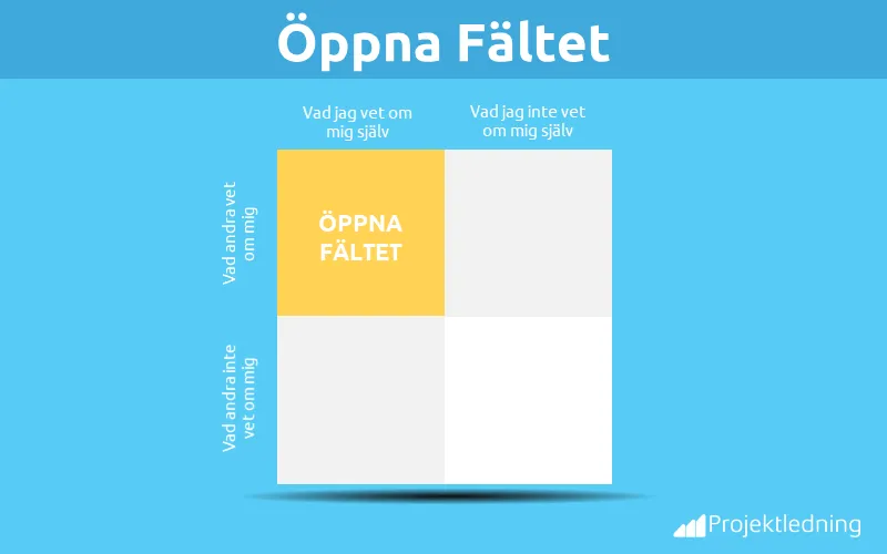 Johari Fönster öppna fältet