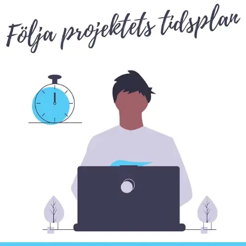 Följa projektets tidsplan