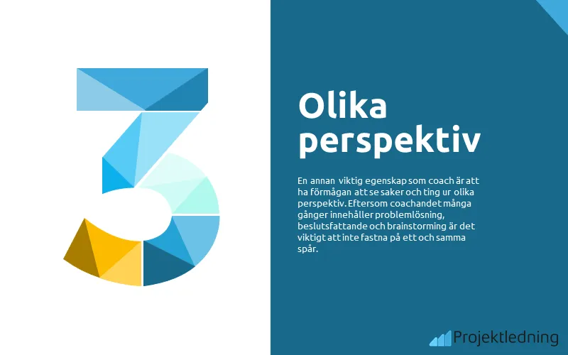 Coaching olika perspektiv