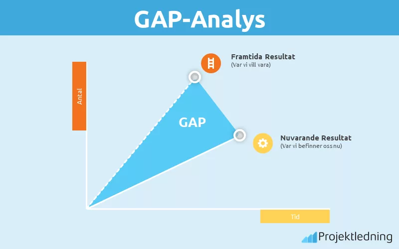 Gap analys profil