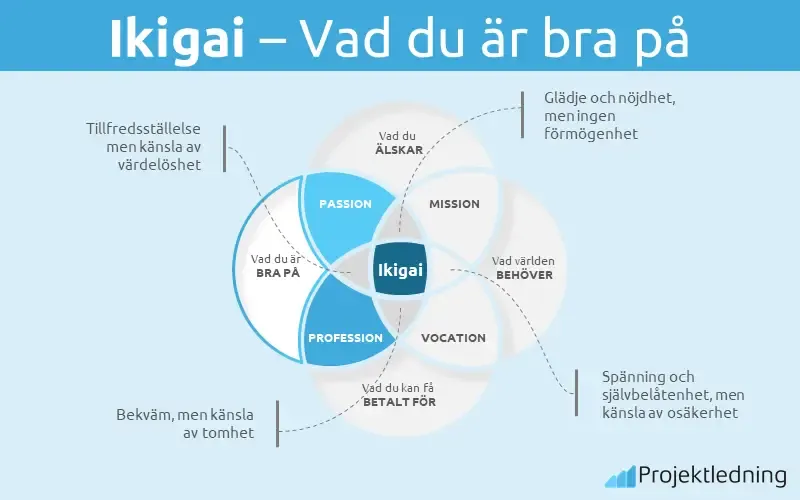 Ikigai Vad du är bra på