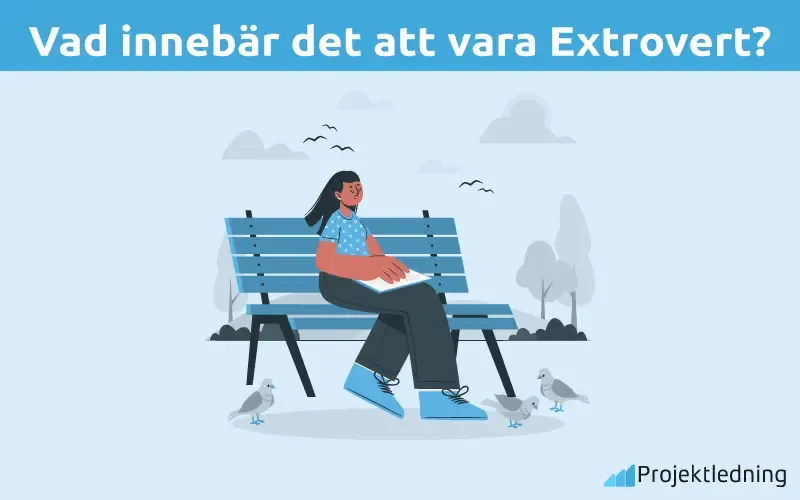 Vad innebär det att vara Extrovert Vad innebär det att vara Extrovert