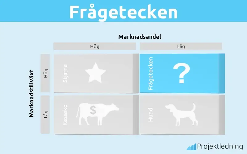 Boston matrisen frågetecken