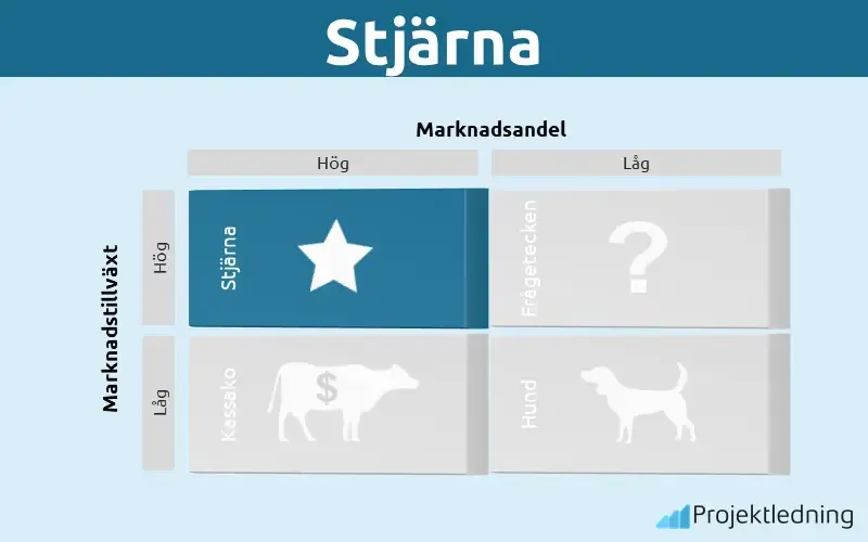 Boston matrisen stjärna