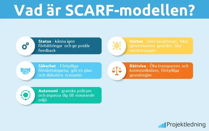 Vad är SCARF-modellen