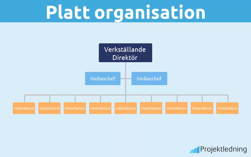 Platt organisation