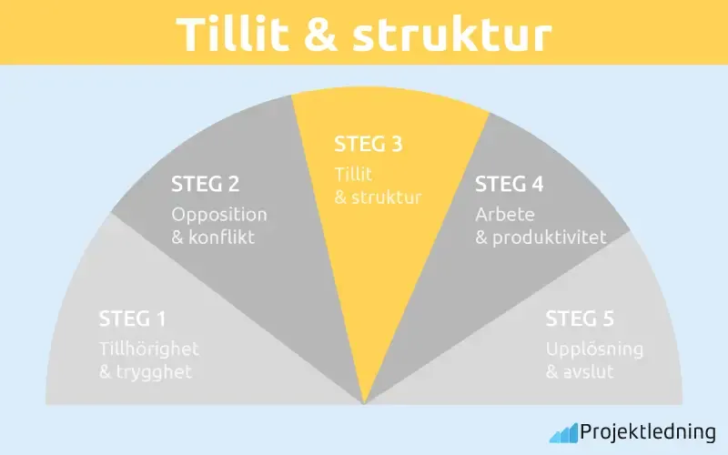 Tillit struktur Susan wheelan
