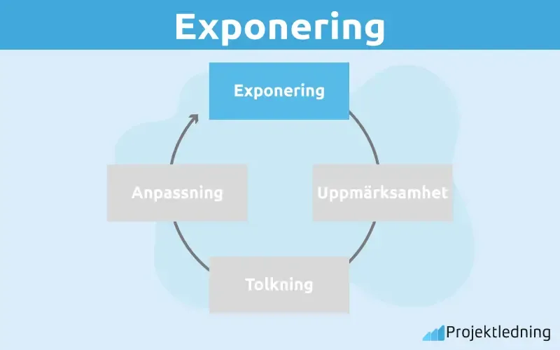 Exponering perceptionsprocessen