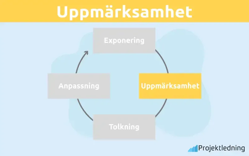 Uppmärksamhet